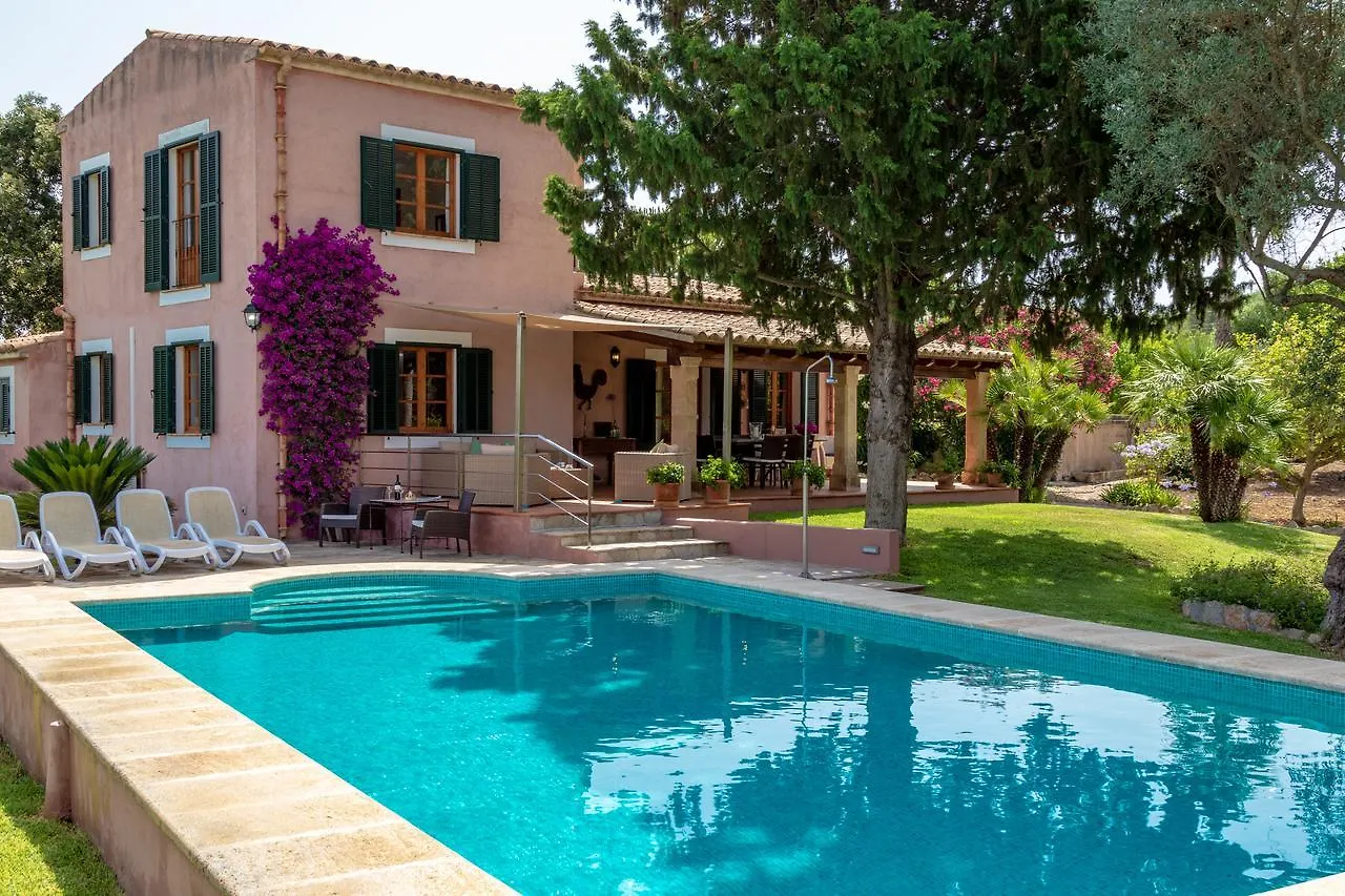 Villa Alzina Alcudia 0*,